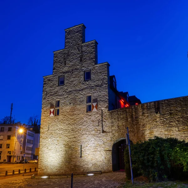 Ingresso Castello Storico Muelheim Ruhr — Foto Stock