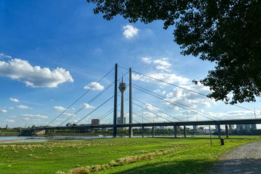 Düsseldorf 'ta köprü ve ufuk çizgisi olan Ren çayırları