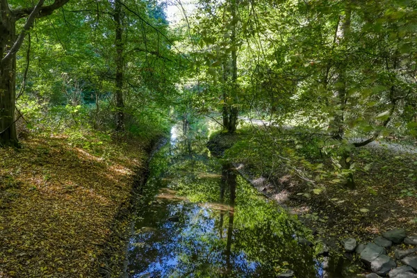 Duisburg 'un altı göl bölgesindeki dere manzarası ve orman patikaları