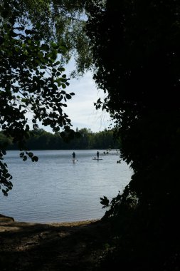 Duisburg 'un altı göl bölgesindeki bir gölde stand-up kürekçileri.