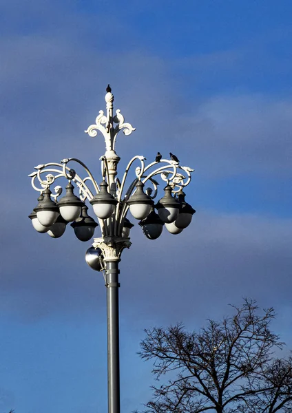 Lampada Stradale Della Forma Originale — Foto Stock