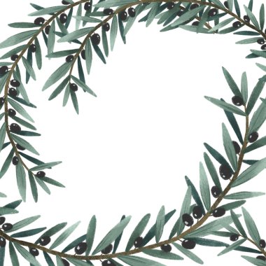 Zeytin dalı ve yapraklar, çerçeve şablonu, yeşil bitkisel set organik doğa çizimi, el çizimi