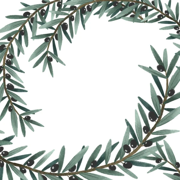Zeytin dalı ve yapraklar, çerçeve şablonu, yeşil bitkisel set organik doğa çizimi, el çizimi