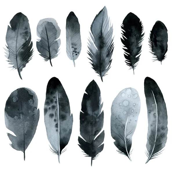 Plumes Oiseaux Ensemble Aquarelle Noire Sombre Dessin Main Illustration — Photo