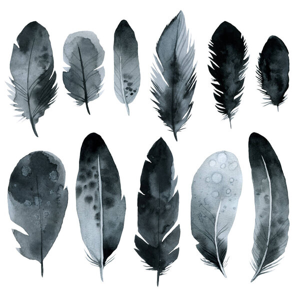 bird feathers, set black gloomy watercolor hand drawing, illustration