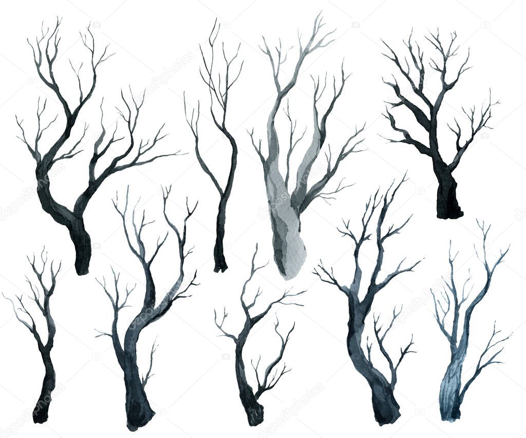 gray black black forest, trees and branches, watercolor hand drawing illustration