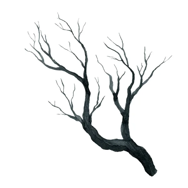 Grigio Nero Foresta Nera Alberi Rami Acquerello Disegno Mano Illustrazione — Foto Stock