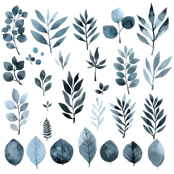 Blumen Und Pflanzen Blaues Indigo Set Aquarell Handzeichnung Illustration — Stockfoto
