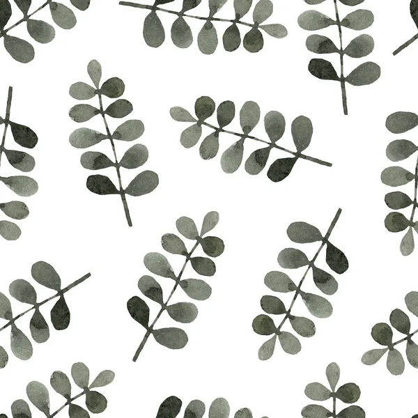 Гілка Акварель Зелена Трав Яна Органічна Природа Безшовна Ілюстрація Візерунка — стокове фото