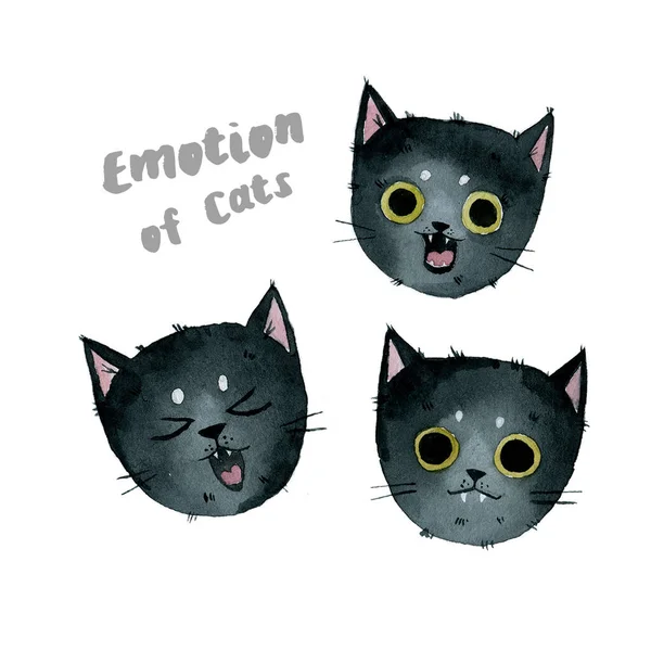 Emoce Černé Kočky Akvarel — Stock fotografie
