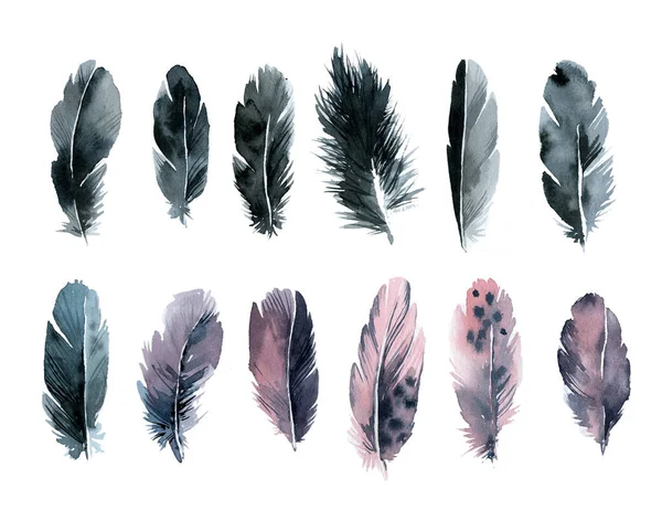 Jeu Plumes Aquarelle Noir Rose — Photo