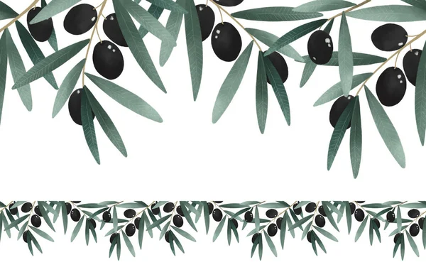 Оливковая Ветвь Листья Зеленые Травяные Органические Природы Бесшовные Картины Границы — стоковое фото