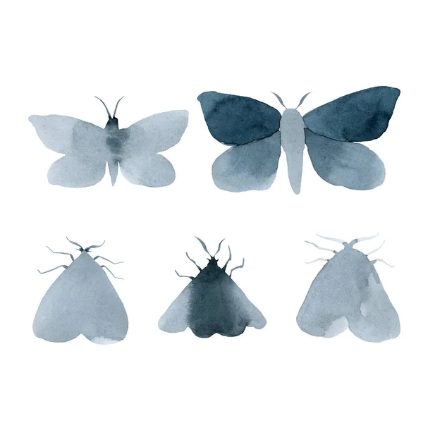 Kék Éjszakai Moly Indigó Pillangó Akvarell Évjárat Illusztráció Kézrajz Természetes — Stock Fotó