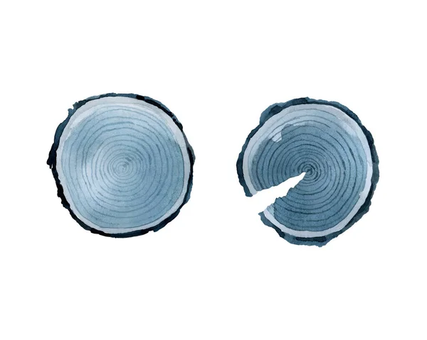 Runda Snitt Ett Träd Indigo Blå Akvarell Handritning Illustration — Stockfoto