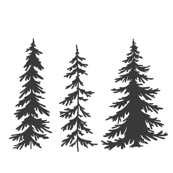 Spruce tree set, vector hand drawing, silhouette — Stock Vector