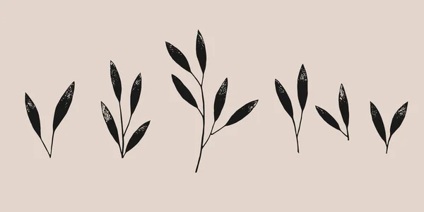 Vector Set Branches Pencil Drawing Vintage Style Graphic Black Illustration — Stock Vector