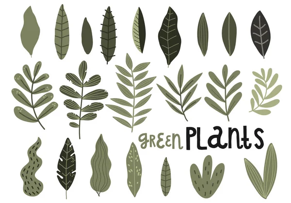 Jeu Feuilles Vertes Plantes Branches Dessin Vectoriel Main Illustration Motif — Image vectorielle