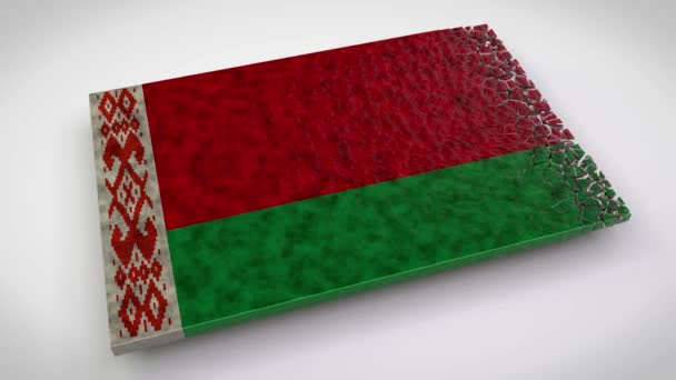 Animação Bandeira Belarusian Que Destrói Transforma Bandeira Oposição Belarusian Ideia — Vídeo de Stock