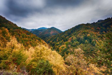 Troglav dağın Sırbistan bulutlu sonbahar pitoresk manzara