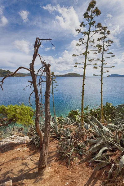 Lost paradise on Skiathos island, Greece - seascape