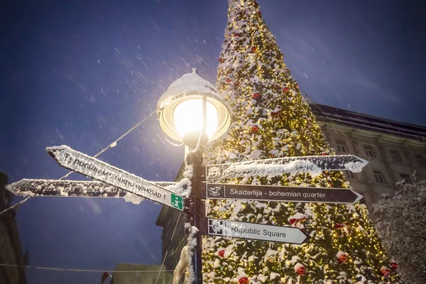 Belgrade Serbia December 2018 Decorative Lighting Christmas Tree Guidepost Knez — Stock Photo, Image