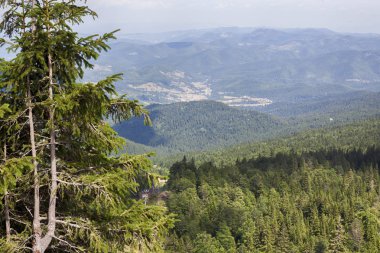 Yaz aylarında Jahorina dağ manzarası