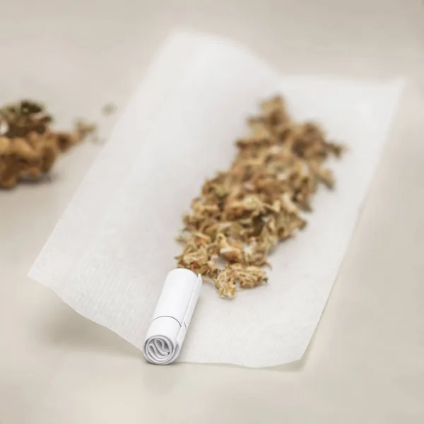 Preparazione Giunto Cannabis Medica Con Tabacco Carta Arrotolata Con Germoglio — Foto Stock