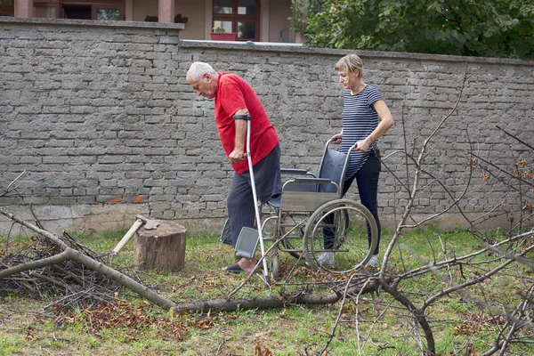 Woman helps senior man with crutches to sit in the wheelchair. Healthcare: senior patient gaining confidence with help from her nurse