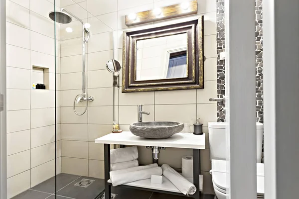 Luxury Modern contemporary interior bathroom with sink and mirro