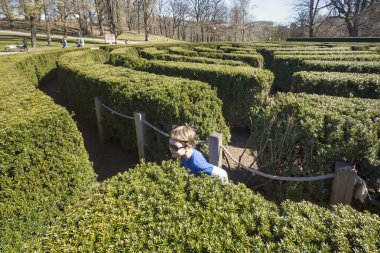 Slottsskogen parkta Bush Labirent oynayan beş yaşındaki çocuk