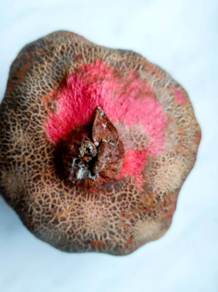 Sulu parlak nar. Meyve natürmort. Nar ile natürmort. Nar kesti. Nar kemikler.