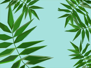 Palmiye yaprağı fern arka plan. Palmiye yaprakları. Fern yaprak.