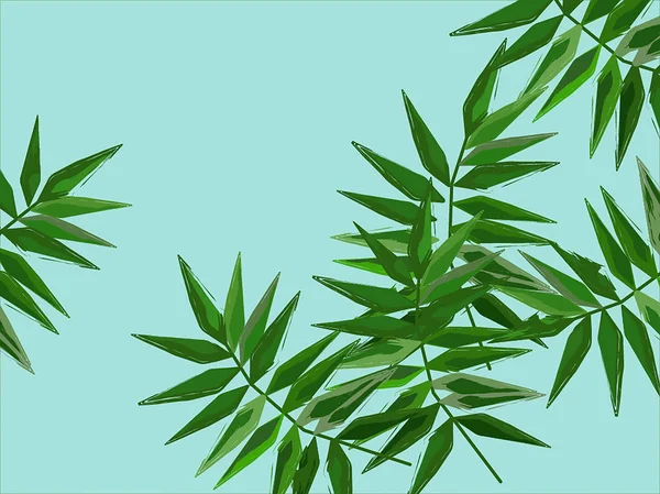 Palmiye yaprağı fern arka plan. Palmiye yaprakları. Fern yaprak.