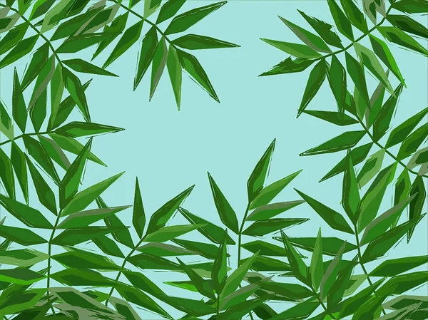 Palmiye yaprağı fern arka plan. Palmiye yaprakları. Fern yaprak.