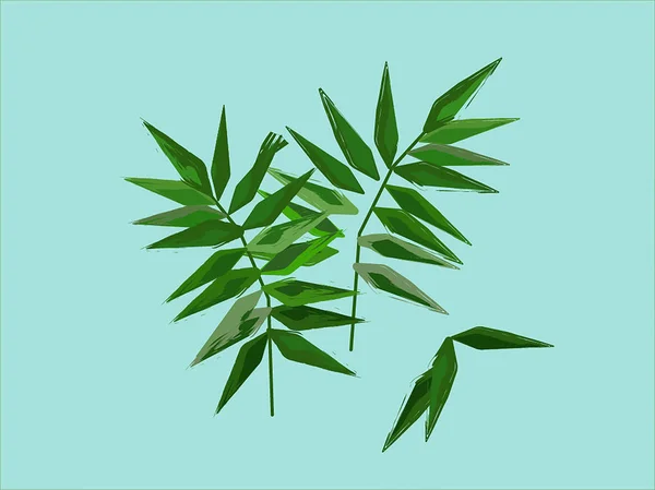 Palmblattfarn Hintergrund Palmblätter Farnblatt — Stockfoto