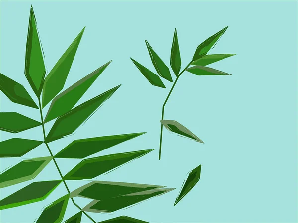 Palmiye yaprağı fern arka plan. Palmiye yaprakları. Fern yaprak.