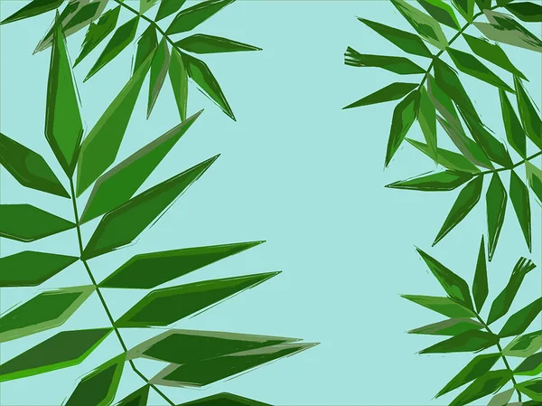 Пальмовый Лист Заднем Плане Пальмовые Листья Лист Папоротника — стоковое фото