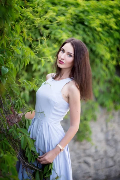 Mladá Žena Pastelově Modré Šaty Pózuje Před Zelené Keře Parku — Stock fotografie