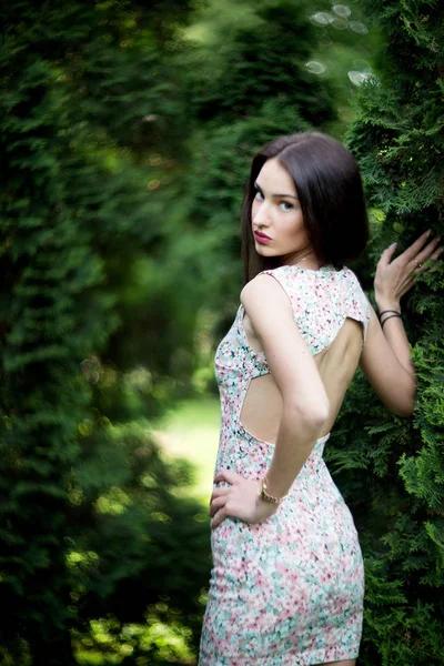 Νεαρή Γυναίκα Κοντό Φόρεμα Floral Εκτύπωσης Θέτοντας Πράσινο Ψηλούς Θάμνους — Φωτογραφία Αρχείου