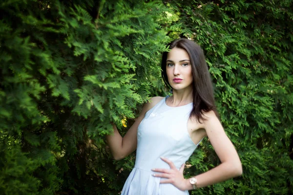 Jovem Mulher Pastel Vestido Azul Posando Frente Arbustos Verdes Parque — Fotografia de Stock