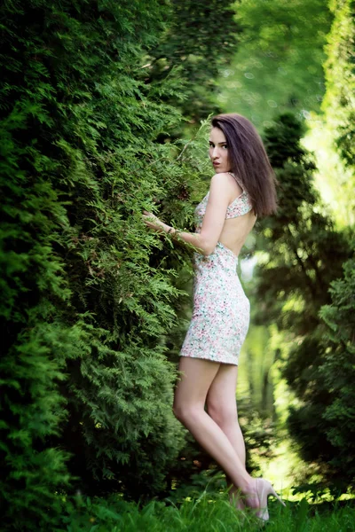 Mladá Žena Krátkých Šatech Květinovým Tisku Pózuje Zelených Keřů — Stock fotografie