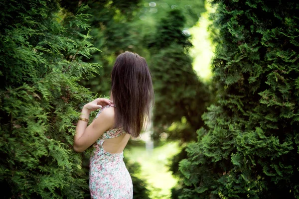 Vista Trasera Mujer Morena Vestido Con Estampado Floral Posando Arbustos — Foto de Stock