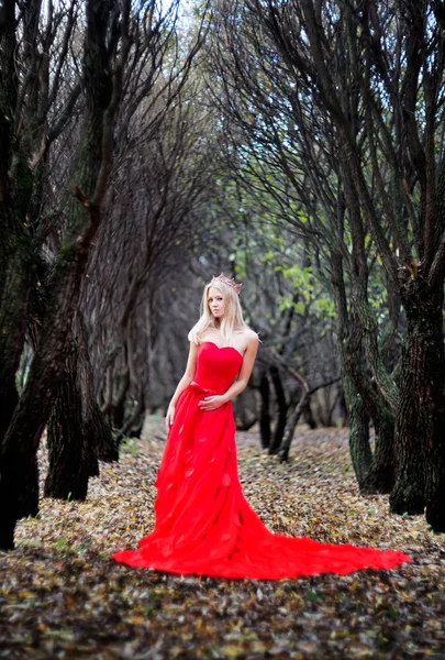 Блондинка Короні Елегантна Червона Сукня Позує Осінньому Парку — стокове фото