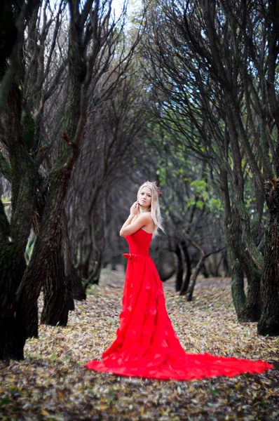 Mujer Rubia Corona Elegante Vestido Rojo Posando Parque Otoño — Foto de Stock