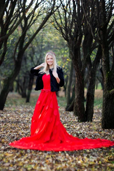 Kobieta Czerwonej Sukience Czarne Futro Koroną Głowie Pozowanie Lesie — Zdjęcie stockowe