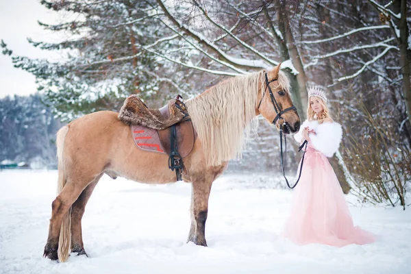 Princesse Couronne Avec Cheval Hiver Conte Fées — Photo