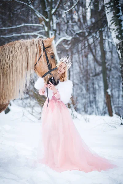 Princesa Coroa Com Cavalo Inverno Conto Fadas — Fotografia de Stock