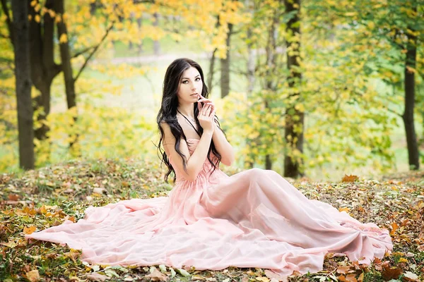 Porträt Einer Jungen Eleganten Dame Zartrosa Kleid Die Herbstlichen Park — Stockfoto