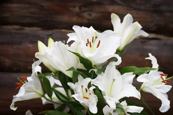 Nahaufnahme Zarter Weißer Lilienblüten Mit Grünen Blättern — Stockfoto