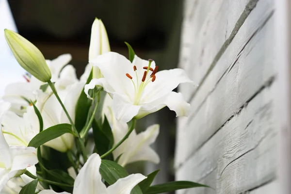 Close View Tender White Lily Flowers Green Leaves — Stock Photo, Image